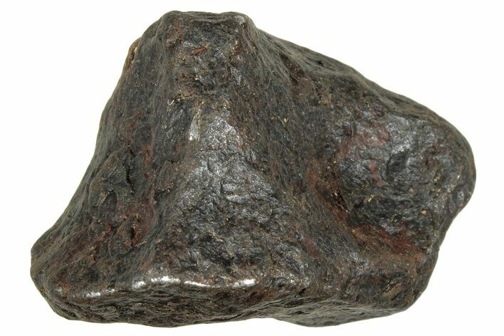 Canyon Diablo Iron Meteorite ( g) - Arizona #303487